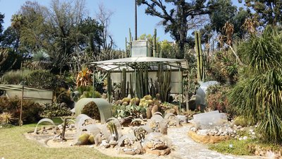 Botanicher Garten, Neapel